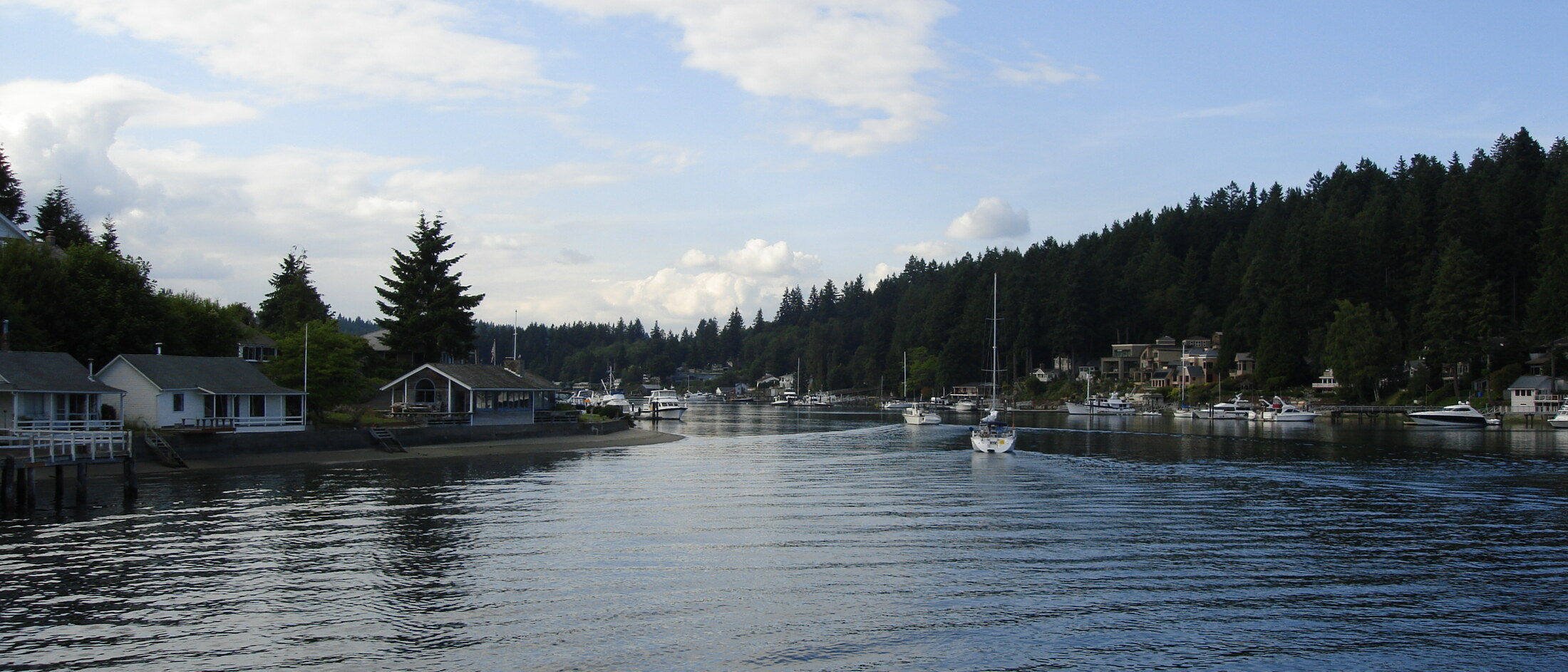 Boats moored in Gig Harbor with waterfront homes and evergreen trees along the shoreline
