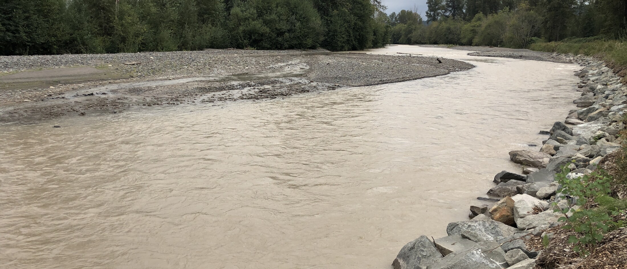 The Puyallup River flowing over a wide gravel bar near Orting, with forested hills along the bank, photographed September 2022